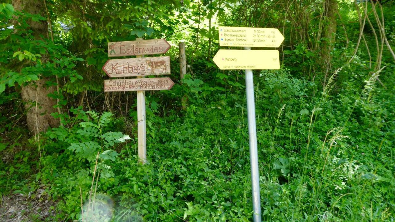 Romantische Ferienhuette Nationalpark Kalkalpen, Sonnig, 2 Schlafzimmer, Wlan Kleinreifling Экстерьер фото