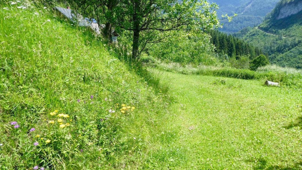 Romantische Ferienhuette Nationalpark Kalkalpen, Sonnig, 2 Schlafzimmer, Wlan Kleinreifling Экстерьер фото