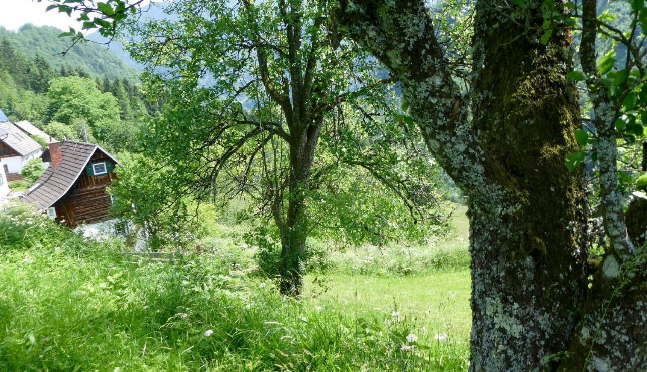 Romantische Ferienhuette Nationalpark Kalkalpen, Sonnig, 2 Schlafzimmer, Wlan Kleinreifling Экстерьер фото